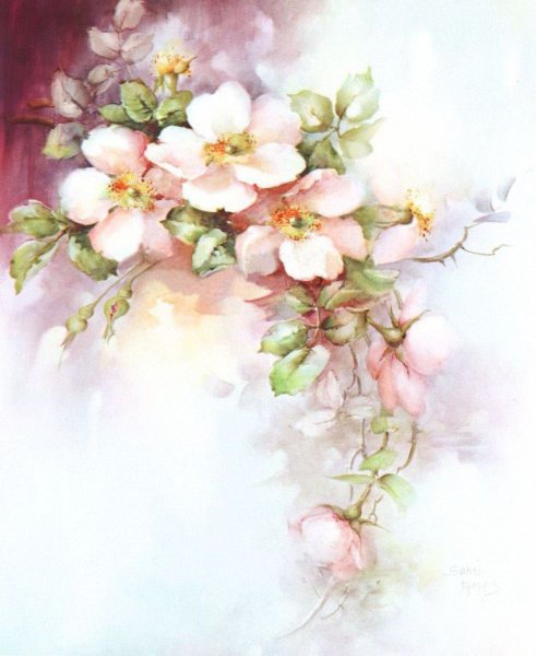 Художник Sonie Ames