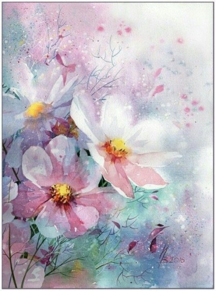 Цветы космея акварелью