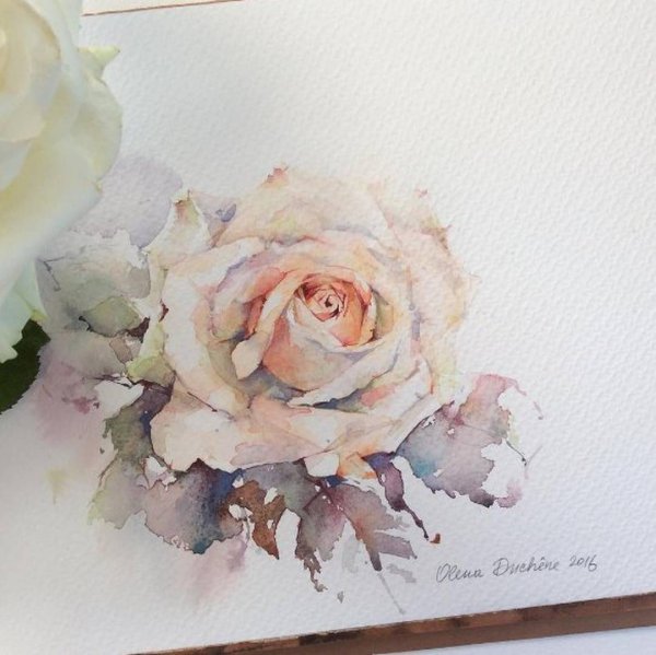 Акварельные розы