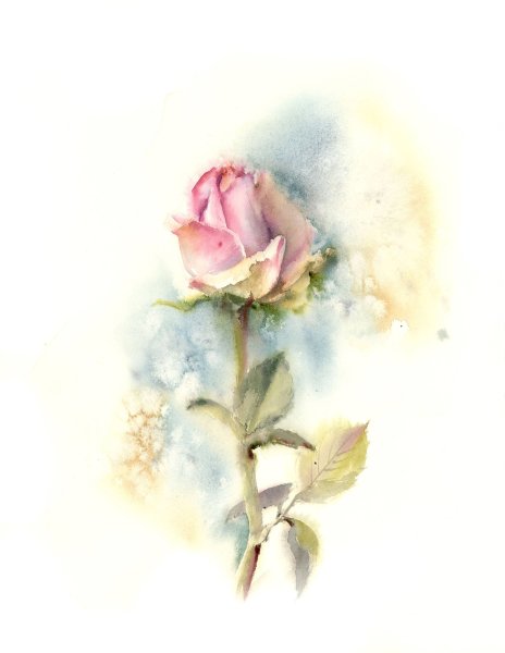 Один цветок акварелью