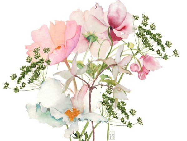 Нежные Акварельные цветы