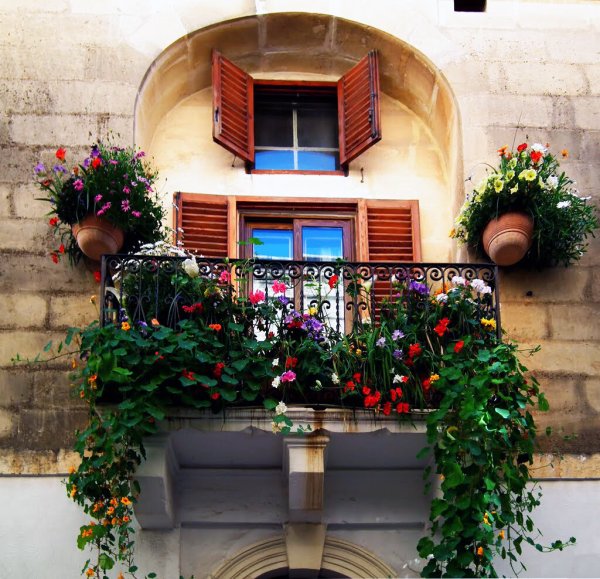 Балкон с цветами