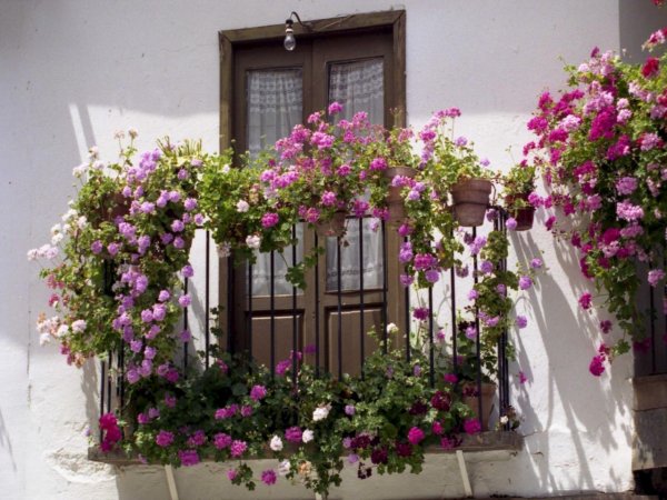 Итальянский балкончик с цветами