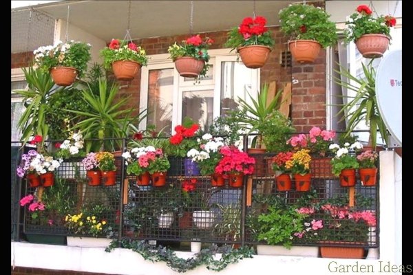 Украшение окон цветами снаружи