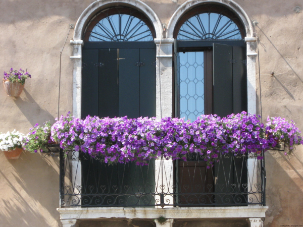 Цветник на балконе