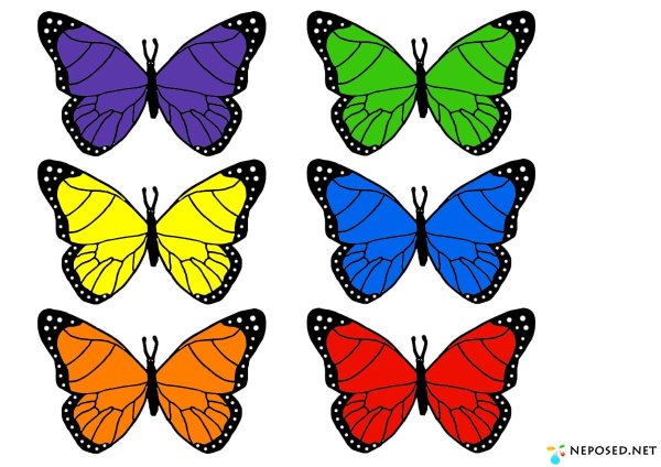 Разноцветные бабочки