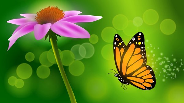 Бабочки на цветах для детей