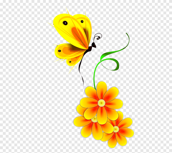 Бабочки цветочки на прозрачном фоне
