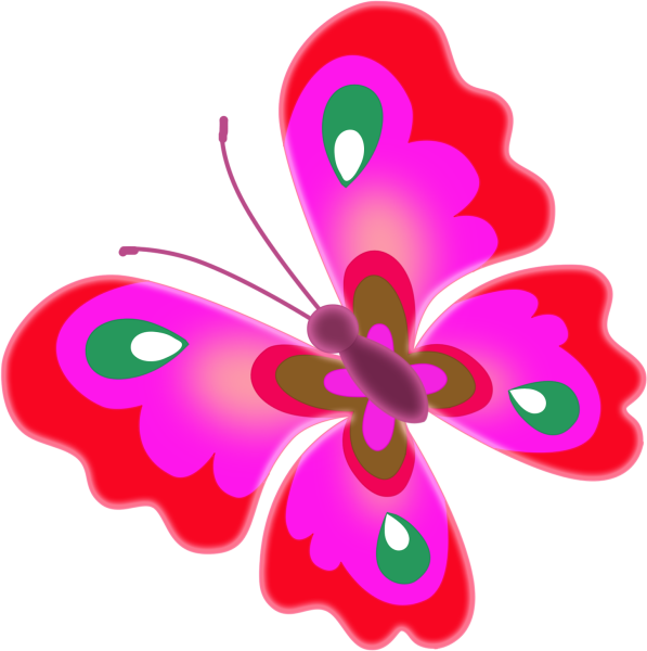 Цветные бабочки для детей