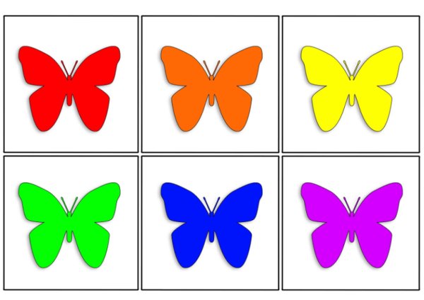 Бабочки разных цветов