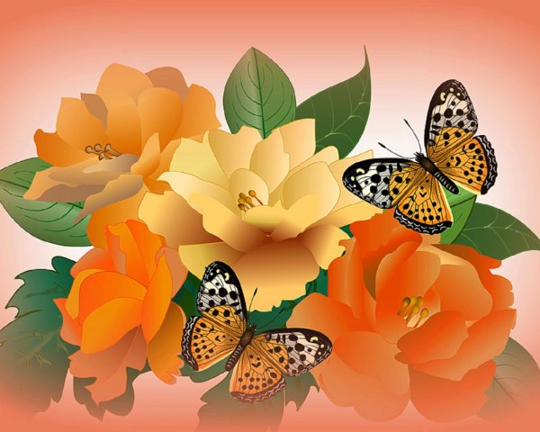 Бабочка на цветке на прозрачном фоне