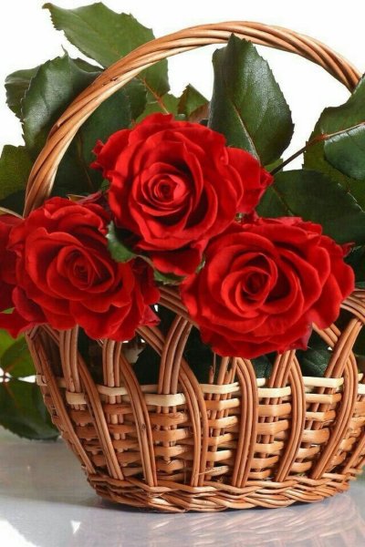 Красивая корзинка цветов