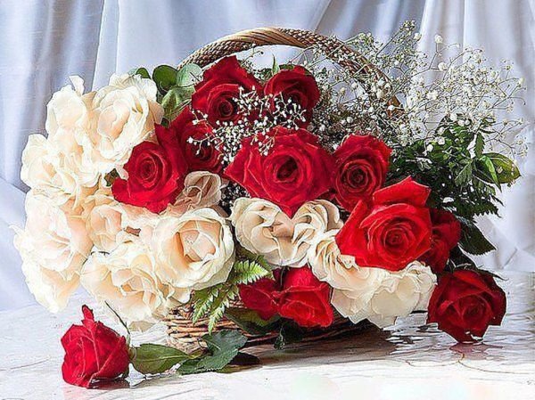 Живые розы в вазе