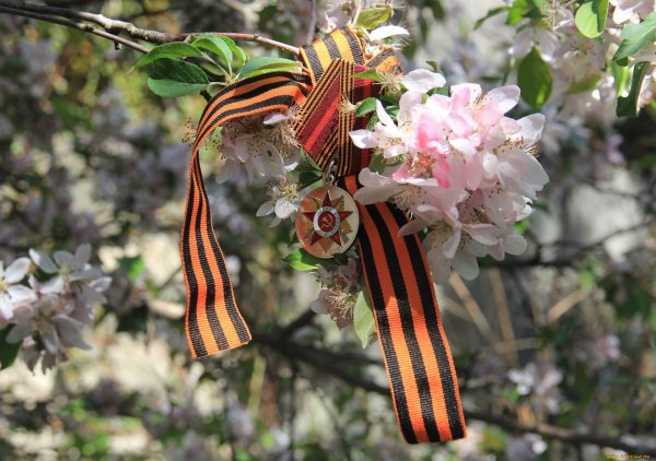 И снова май салют победа