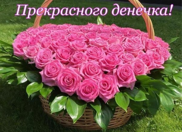 Букет роз с добрыми пожеланиями