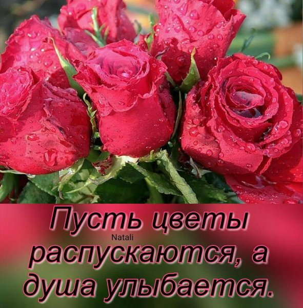 Букет для Наташи