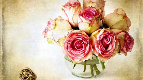 Поздравления с днём рождения учительнице