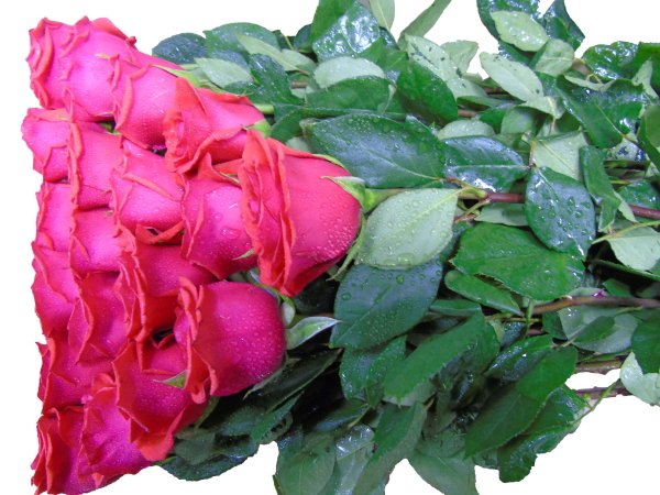 Ниночке цветы