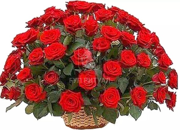 Великолепные розы к празднику