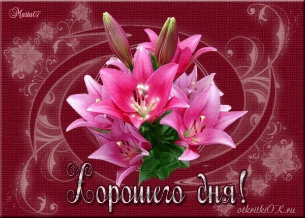 Розы для надежды