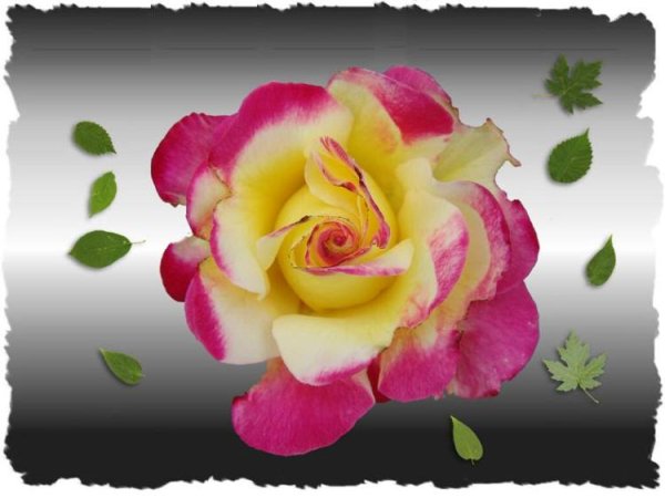 Картинки спасибо подружка надписи