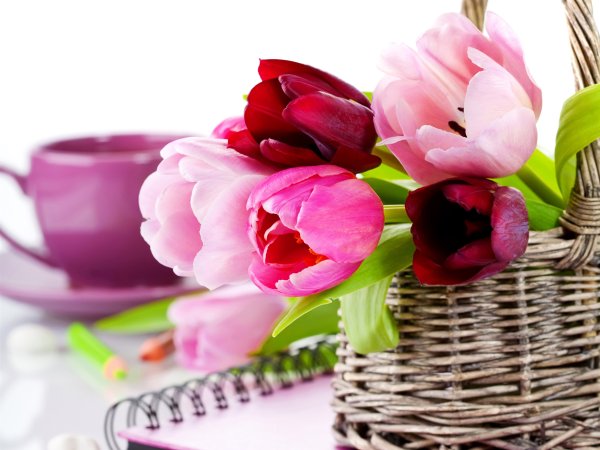 Открытка цветы