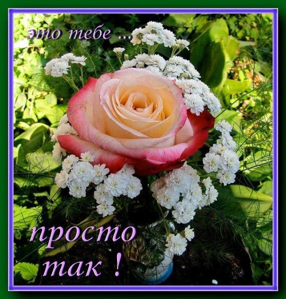 Дарю тебе цветы