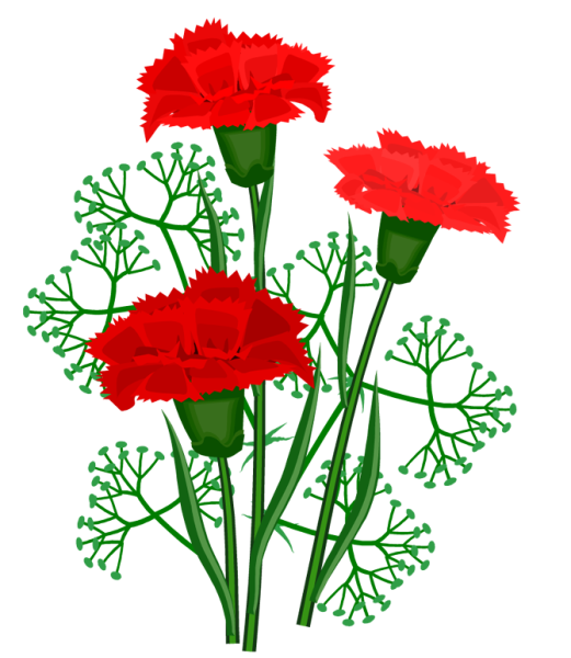 Гвоздики рисунок