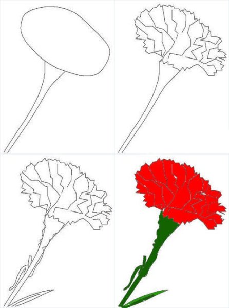 Рисование гвоздики