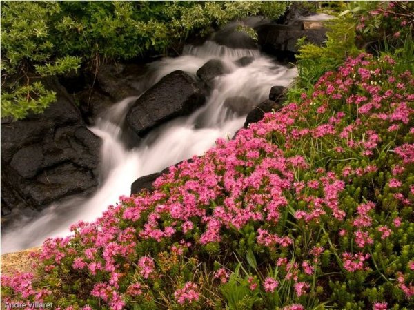 Природа водопад