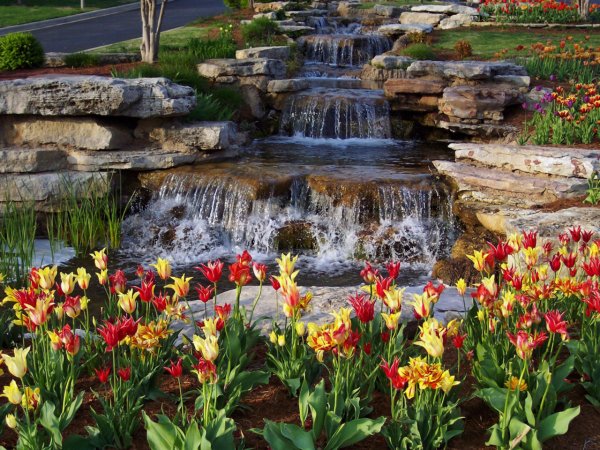 Природа водопад цветы