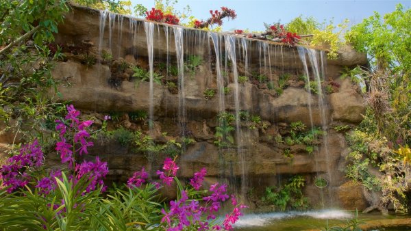 Красивые водопады с цветами