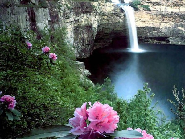 Красивая природа водопад