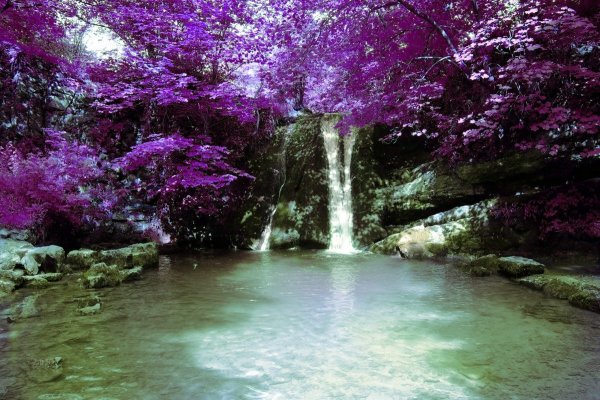 Природу красоту цветочки фонтан