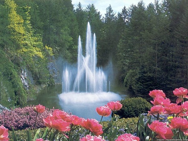 3d картины природы