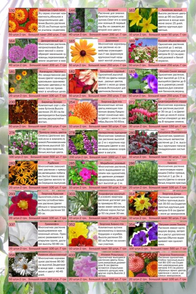 Список цветов многолетников