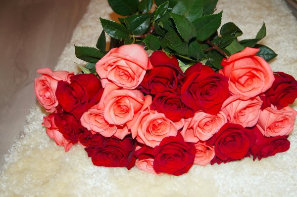 Цветы для любимой