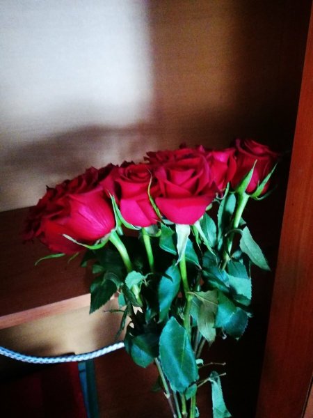 Цветы в машине