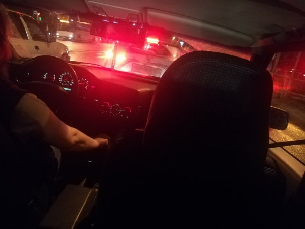 Девушка с черными волосами и розами