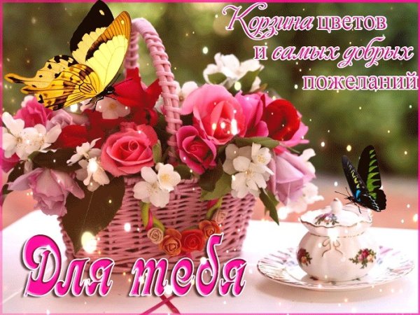 Самые прекрасные пожелания