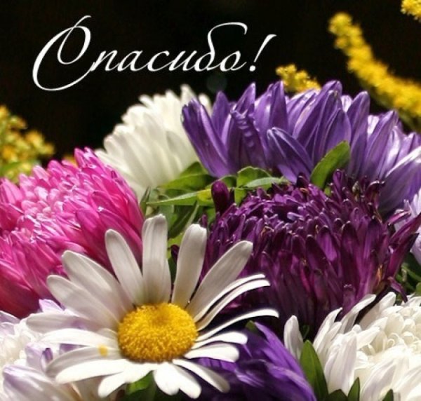 Букет цветов спасибо