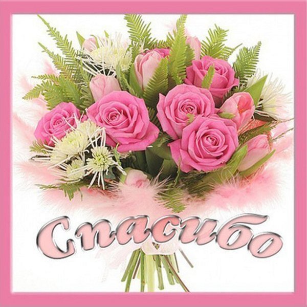 Цветы в знак дружбы