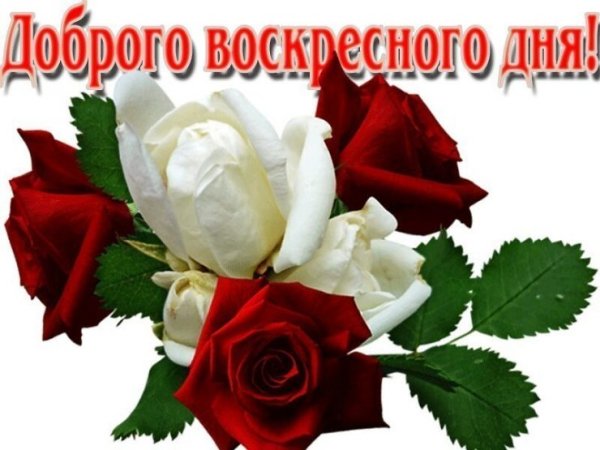 Открытки с добрым воскресным днем
