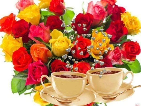 Доброго воскресенья