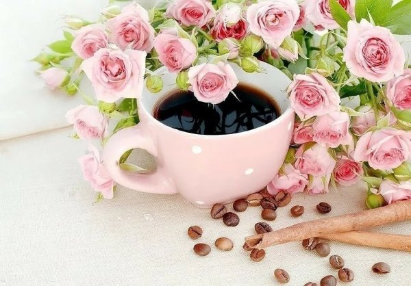 Доброго утра и пре расного настроения