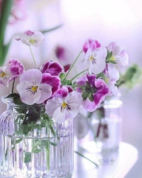 Доброе утро благословенного дня