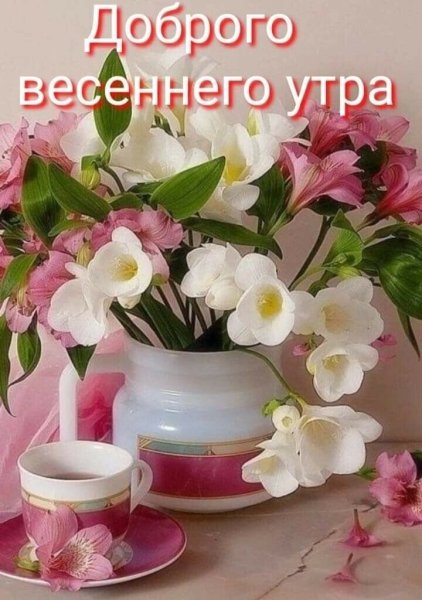 Доброе утро цветы