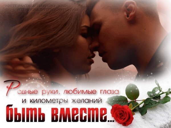 Я тебя очень люблю мужчине