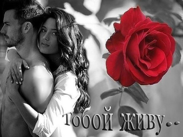 Любимой и желанной