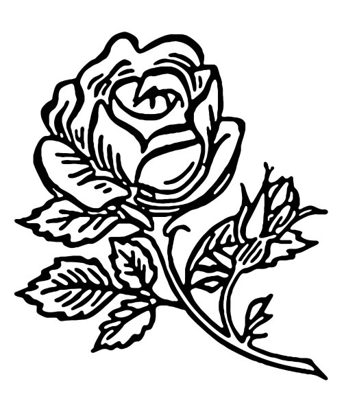 Цветы для выжигания